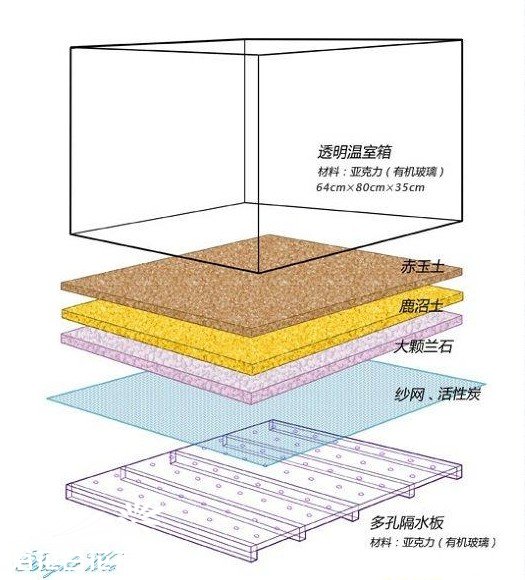 超强手工制作-多肉植物袖珍温室