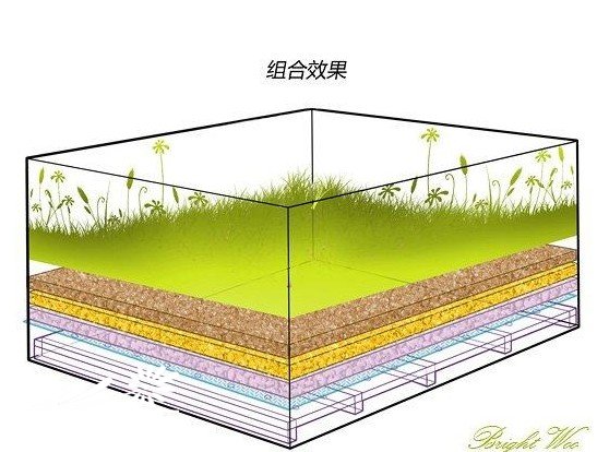 超强手工制作-多肉植物袖珍温室