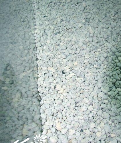 超强手工制作-多肉植物袖珍温室