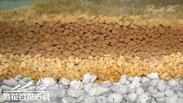 超强手工制作-多肉植物袖珍温室