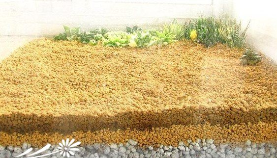 超强手工制作-多肉植物袖珍温室