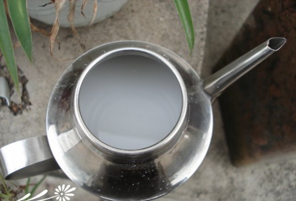 番杏的分株繁殖