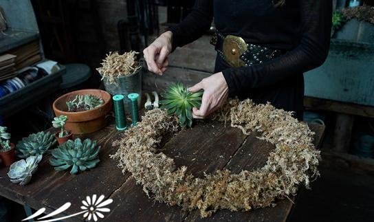 多肉植物花环制作DIY