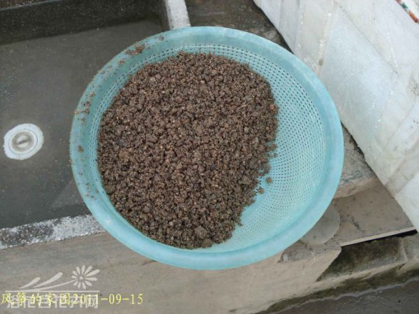 用于多肉植物河沙的认识和淘洗