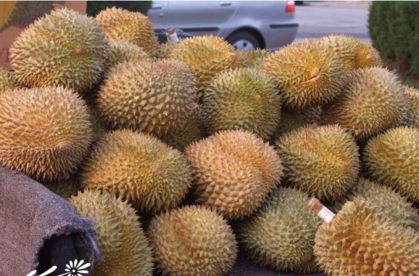 榴莲图片三