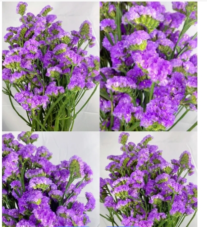 鲜花怎么做成干花