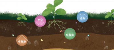 把土壤变成酸性最简单方法是什么？