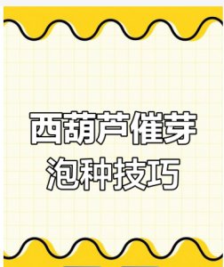 葫芦籽发芽需要泡水多少小时才能吃？