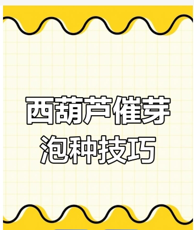 葫芦籽发芽需要泡水多少小时才能吃