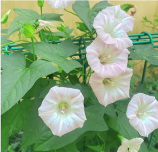 牵?；ê问辈ブ殖苫盥矢?？ 牵?；ㄊ裁词焙虿ブ肿詈没?？