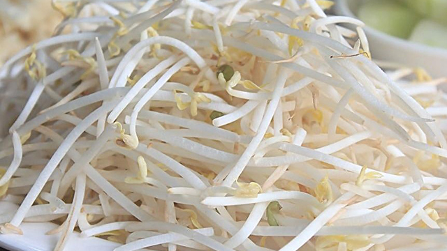 给豆子洒点水