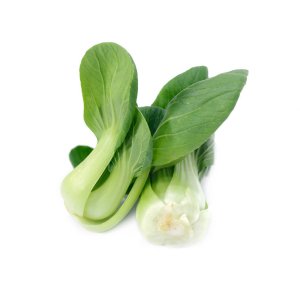 阳台种菜怎么操作 油菜阳台种植全攻略