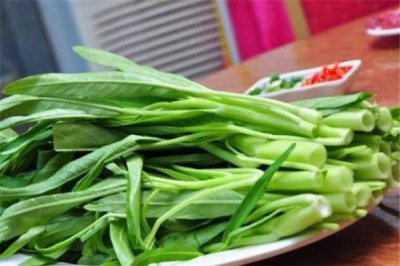 通心菜阳台种植 通心菜栽培技巧视频