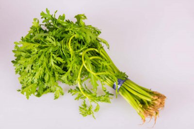 阳台种茼蒿难吗 阳台茼蒿种植技巧全解析