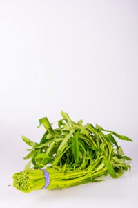 空心菜阳台种植指南 空心菜栽培技巧解析