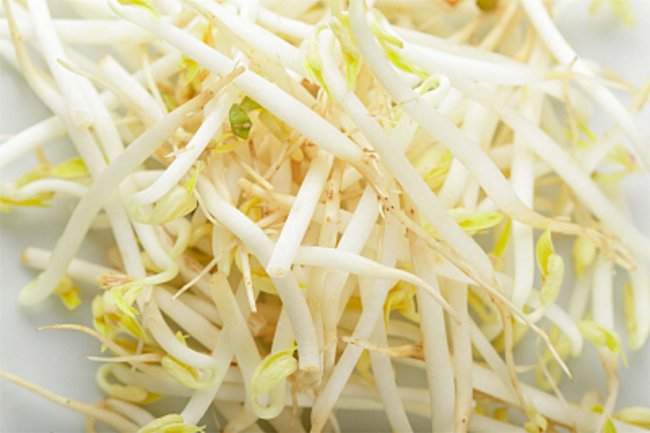 怎么生豆芽