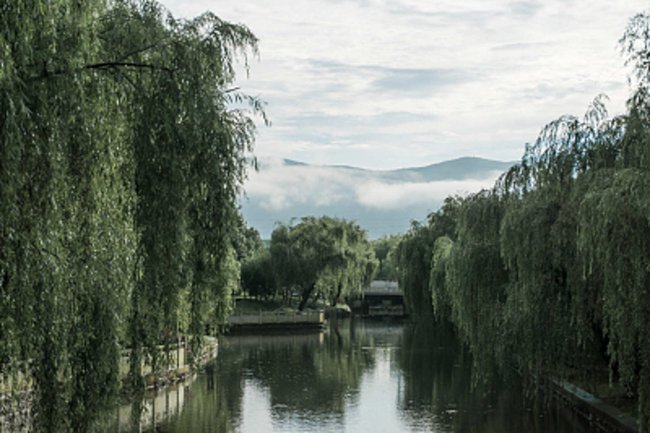 吉林适合养什么花