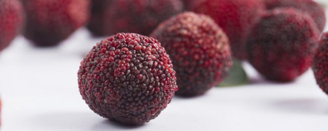 杨梅成熟季节是几月份