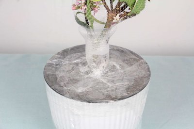 瑞香花怎么养护 家庭瑞香花养护要点