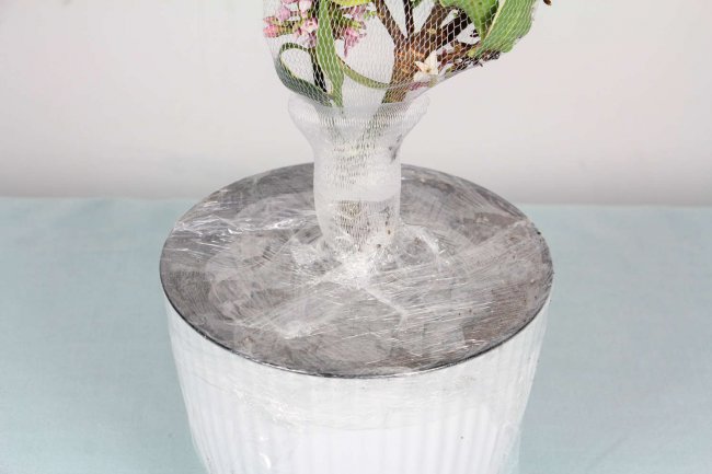 瑞香花怎么养