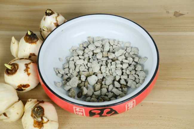 水仙花的繁殖方式有哪几种