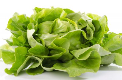 生菜含转基因成分吗 家庭保鲜技巧全公开