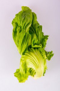 生菜怎么炒才鲜嫩爽脆 生菜烹饪技巧全解析