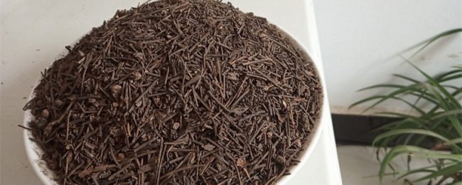 松针土适合种什么花