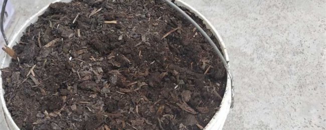 腐叶土的制作方法