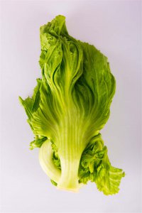 生菜怎么炒才鲜嫩爽口 生菜烹饪技巧全解析