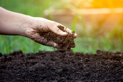 养花土板结怎么办 植物土壤板结拯救技巧