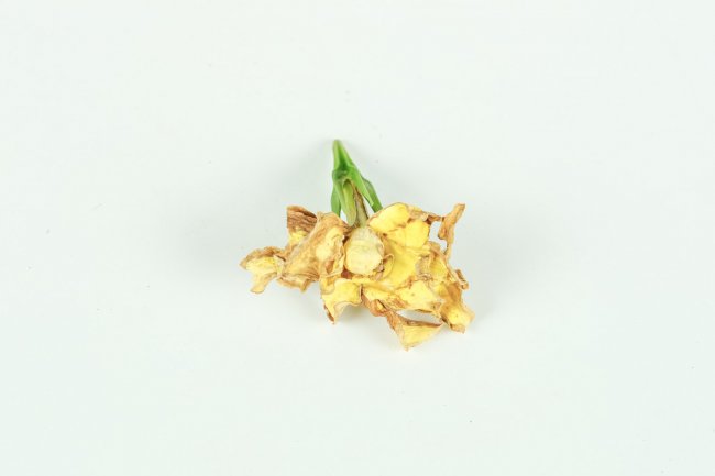 送栀子花代表什么意思