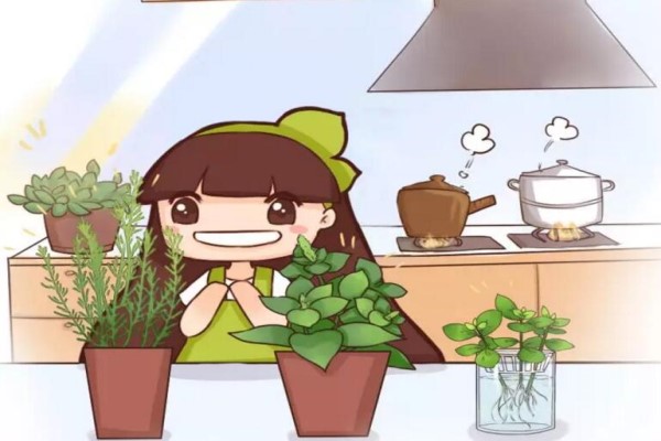 这8种花
