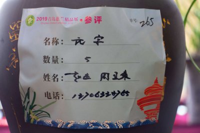 兰花开花预示什么 兰花吉祥寓意与养护解码