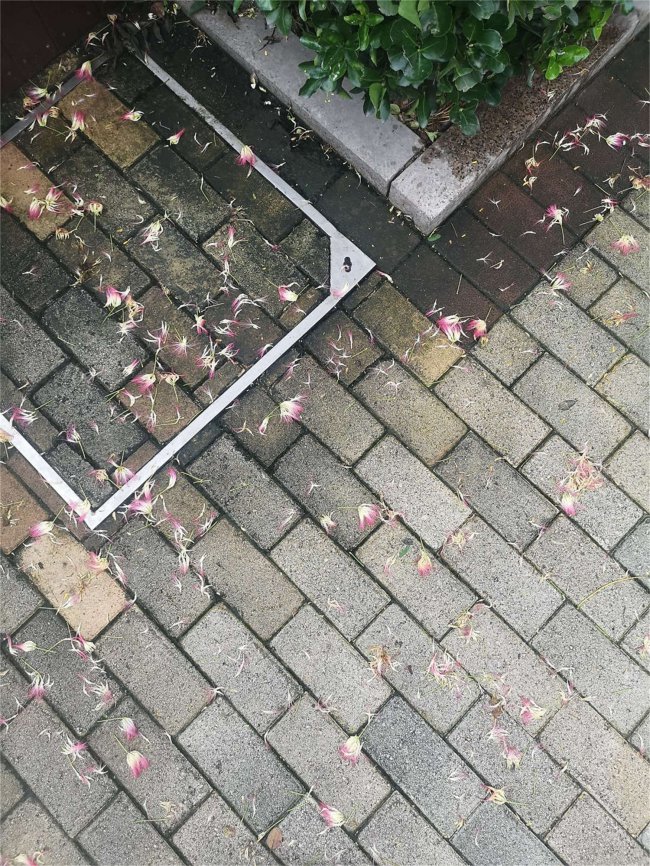 合欢花的功效与作用