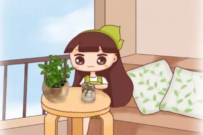 芦荟阳台养花 家庭药箱绿植养护