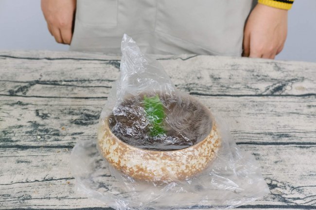 蟹爪兰花骨朵脱落原因是什么