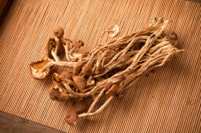 蘑菇长白毛现象 原因处理与保存技巧