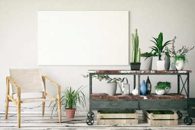 合果芋养护方法 合果芋养殖技巧大全
