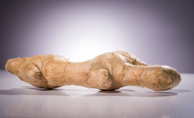 生姜盆景怎么养 生姜盆栽种植全流程