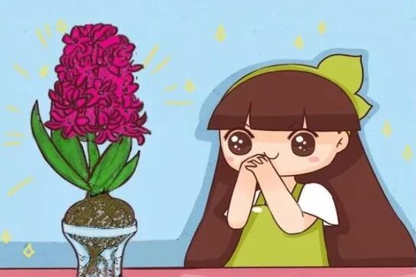 这6种花