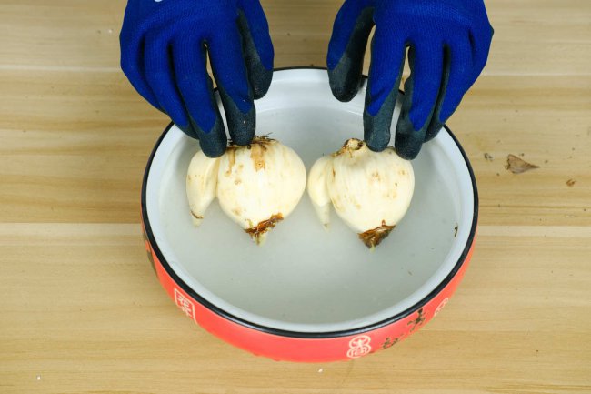 水仙花的花语和象征是什么