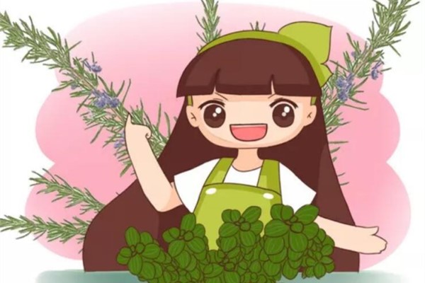 这4种花