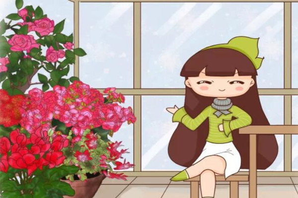 2019最火的过年花