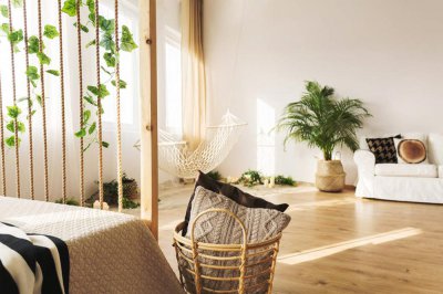 2019流行室内绿植 高颜值家居植物推荐