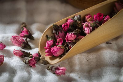 玫瑰花盆栽如何爆盆开花 玫瑰花盆栽养护全技巧