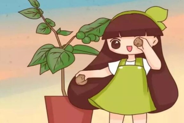 松果核桃埋土里