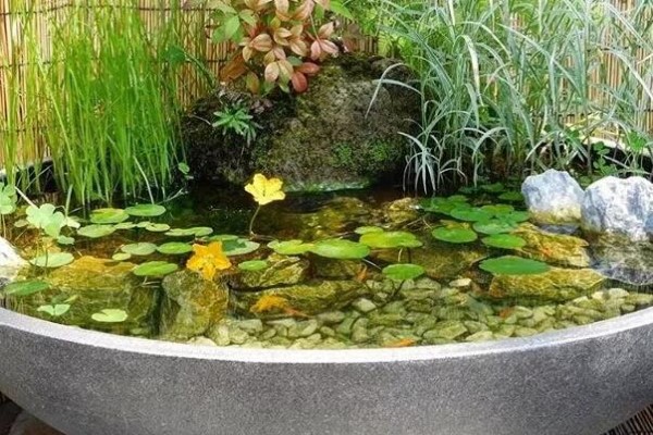 废桶旧盆里添水种花