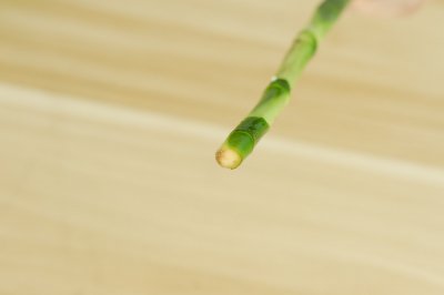 富贵竹冬季养护难？富贵竹过冬技巧详解