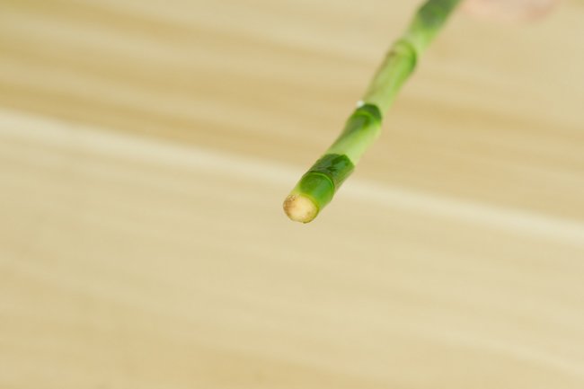 富贵竹冬天怎么养